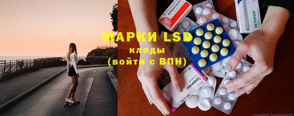 прущие грибы Алексин