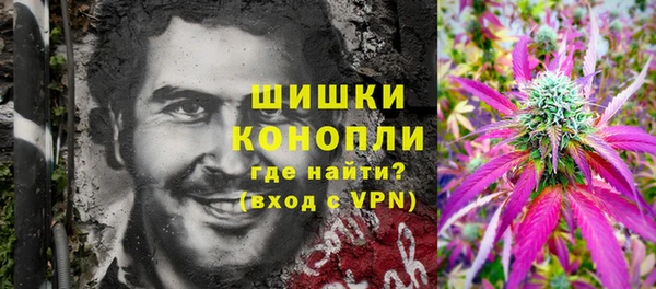 прущие грибы Алексин