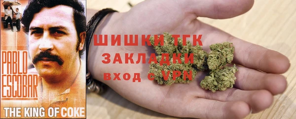 прущие грибы Алексин