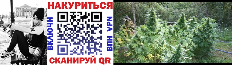 Бошки марихуана конопля Юрьевец